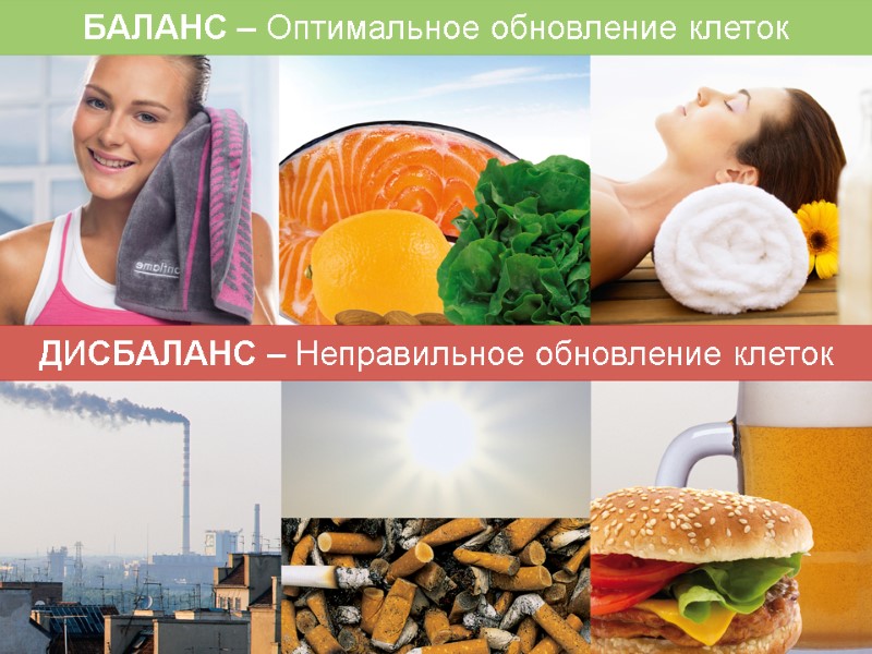 ДИСБАЛАНС – Неправильное обновление клеток БАЛАНС – Оптимальное обновление клеток